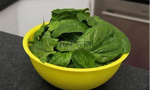 lol菠菜网：菠菜网(菠菜网免费领取体验金) (12)