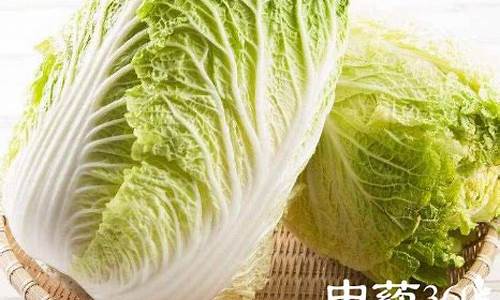 白菜导航：白菜资讯大全 (2)