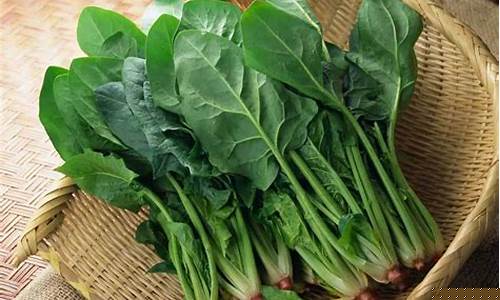 线上菠菜入口(线上菠菜注册) (2)